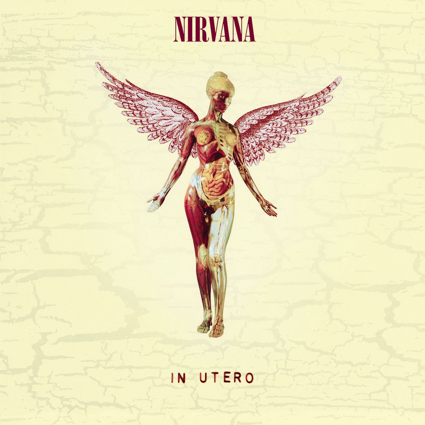 The album cover of the Nirvana album, In Utero.